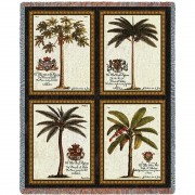Royal Colonial Palms - Cotton Woven Blanket Throw -  (72x54)