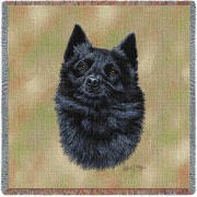 Schipperke - Robert May - Lap Square Cotton Woven Blanket Throw -  (54x54)