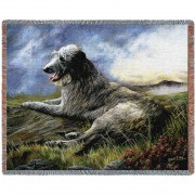 Scottish Deerhound - Robert May - Cotton Woven Blanket Throw -  (72x54)