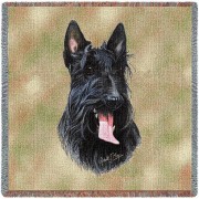 Scottish Terrier - Robert May - Lap Square Cotton Woven Blanket Throw -  (54x54)