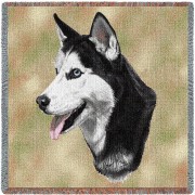 Siberian Husky - Robert May - Lap Square Cotton Woven Blanket Throw -  (54x54)