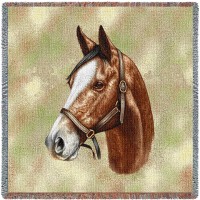 Thoroughbred Horse Light Brown - Robert May - Lap Square Cotton Woven Blanket Throw -  (54x54)
