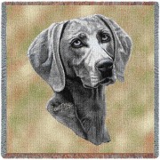 Weimaraner - Robert May - Lap Square Cotton Woven Blanket Throw -  (54x54)