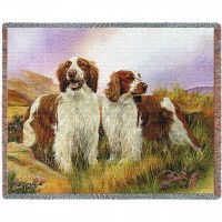 Welsh Springer Spainiel - Robert May - Cotton Woven Blanket Throw -  (72x54)