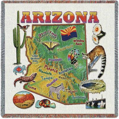 Arizona State Small Blanket 54x54 inch - 666576090380 - 3920-LS