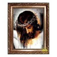 Crown of Thorns (framed)