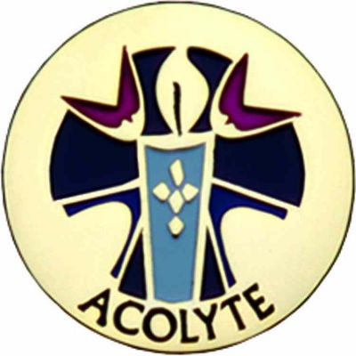 Acolyte Gold Plated / Enameled Lapel Pin 1/4in. Post / Clutch Back 2Pk -  - J-10