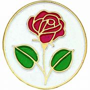 Rose Lapel Pin 1/4in. Post and Clutch Back - (Pack of 2)