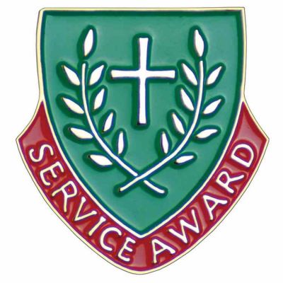 Service Award Gold Plated & Enameled Lapel Pin - (Pack of 2) -  - B-66