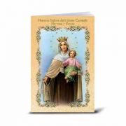 Spanish Our Lady Of Mount Carmel Illustrated Novena Book (10 Pack)