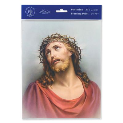 Christ In Agony 8 x 10 inch Print (6 Pack) - 846218088863 - P810-114