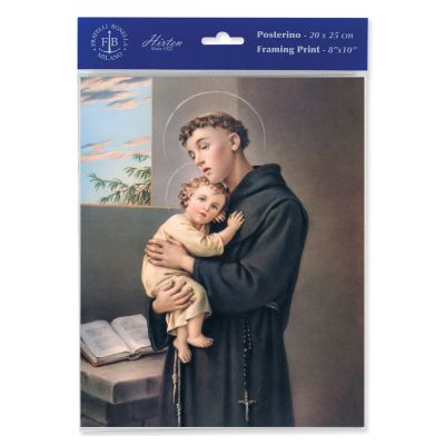 Saint Anthony 8 x 10 inch Print (6 Pack) - 846218089457 - P810-300