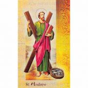 Biography Holy Card Of Saint Andrew (20 Pack)