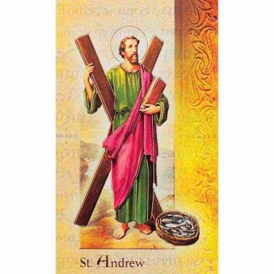 Biography Holy Card Of Saint Andrew (20 Pack) - 846218028159 - F5-404