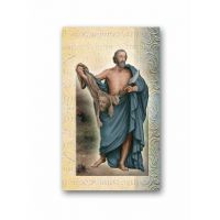 Biography Of Saint Bartholomew - (Pack Of 18)