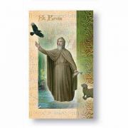 Biography Of Saint Kevin - (Pack Of 18)