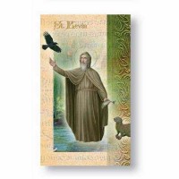 10pk - Biography Pamphlet of Saint Kevin  sold in inc of 10