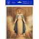 Chambers: Miraculous Mary 8 x 10 inch Print (6 Pack) - 846218089310 - P810-236
