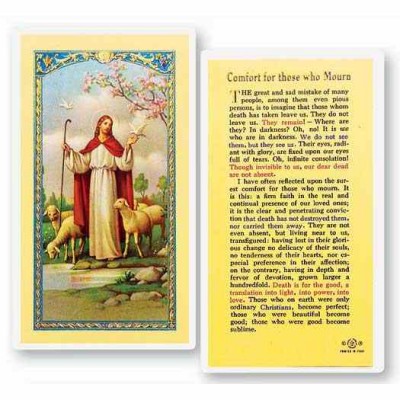 Comfort For Those Who Mourn Laminiated 2 x 4 inch Holy Card (50 Pack) - 846218015524 - E24-780