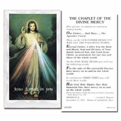 Divine Mercy 2x4 inch Holy Card - (Pack of 100) - 846218001299 - 5P-529