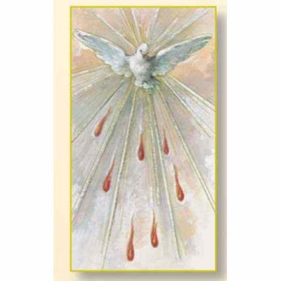 Holy Spirit(Confirmation) 2 x 4 inch Paper Holy Cards - (Pack of 100) - 846218048195 - HS-03