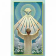 Holy Spirit(Confirmation) 2x4 inch Holy Cards - (Pack of 100)