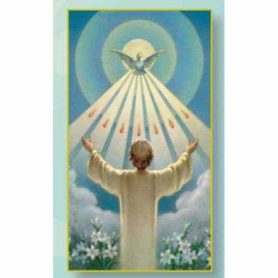 Holy Spirit(Confirmation) 2x4 inch Holy Cards - (Pack of 100) - 846218048225 - HS-09