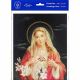 Immaculate Heart Of Mary 8 x 10in Print (6 Pack) - 846218089099 - P810-206