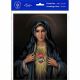 Immaculate Heart Of Mary Print (6 Pack) - 846218089181 - P810-215