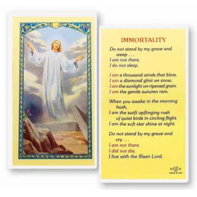Immortality Laminated Holy  Card - (Pack Of 31) -  - E24-771