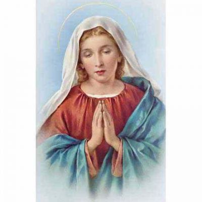 Madonna Praying - 2 x 4 inch Holy Card - (Pack of 100) - 846218006515 - ALBA-20