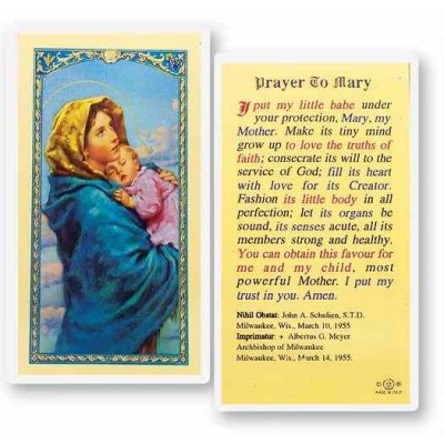 Mary-madonna Of The Street Holy Card - (Pack Of 31) -  - E24-833