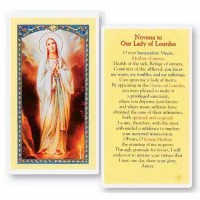 25pk - Our Lady of Lourdes Novena Laminated Holy Card  Pk 25