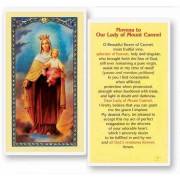 25pk - Our Lady of Mount Carmel Novena Laminated Holy Card  Pk 25