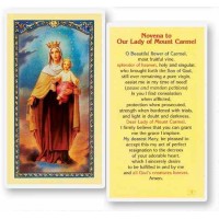 25pk - Our Lady of Mount Carmel Novena Laminated Holy Card  Pk 25