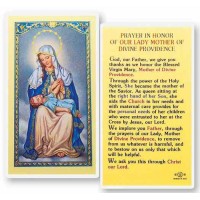 25pk - Our lady of Divine Providence Laminated Holy Card  Pk 25