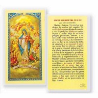 25pk - Our Lady a La Madre SMA De Luz Laminated Holy Card Pk 25