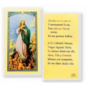 25pk - Oracion A La Virgen Maria Laminated Holy Card Pk 25