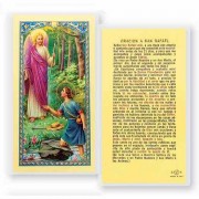 25pk - Oracion A San Rafael Laminated Holy Card Pk 25