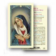 25pk - Chaplet of Our Lady of Divine Mercy Laminated Holy Card  Pk 25