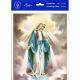 Our Lady Of Grace 8 x 10 inch Print (6 Pack) - 846218089044 - P810-200