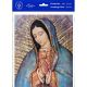 Our Lady Of Guadalupe 8in. X 10in. Print (Pack of 3) -  - P810-217