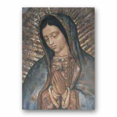 Our Lady Of Guadalupe Fine Art Canvas Print 19 X 27 inch -  - 1927-217