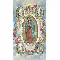 100pk - Our Lady of Guadalupe w/Four Visions 2x4 In. Prayer-Card - (Pack of 100)