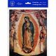 Our Lady Of Guadalupe With Angels 8 x 10 inch Print (6 Pack) - 846218089235 - P810-221