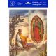 Our Lady Of Guadalupe With Juan Diego 8in. X 10in. Print - (Pack Of 4) -  - P810-219