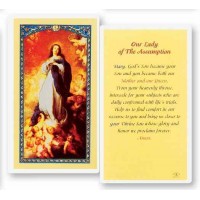 25pk - Our Lady of the Assumption Laminated Holy Card  Pk 25