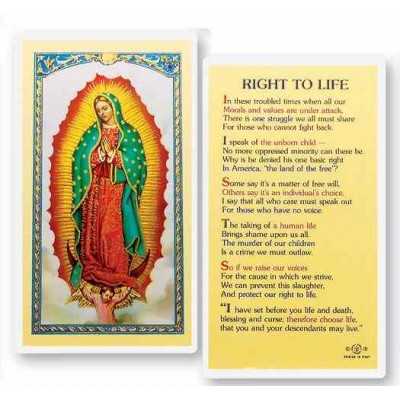 Right To Life Holy Card - (Pack Of 31) -  - E24-706