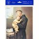 Saint Anthony 8 x 10 inch Print (6 Pack) - 846218089457 - P810-300