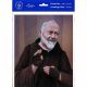 Saint Pio 8 x 10 inch Print (6 Pack) - 846218089662 - P810-522